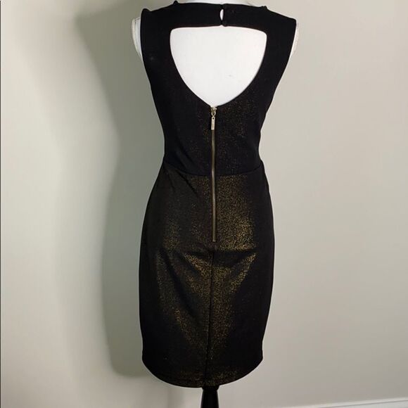 Bisou Bisou Dress  - Picture 2 of 5